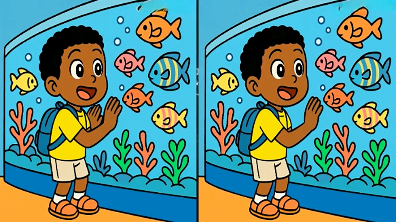 Test de logică | Aceste 2 imagini par identice, dar nu sunt. Găsiți cele 3 diferențe în maximum 45 de secunde!