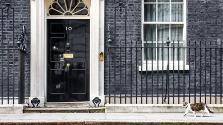 VIDEO | Motanul Larry a pus pe fugă o vulpe din fața reședinței premierului britanic. Confruntarea a fost surprinsă de camerele de filmat