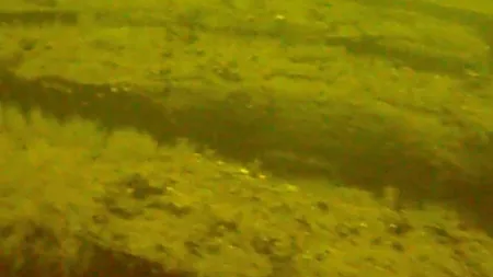 Descoperire uriașă pe o epavă din largul coastelor finlandeze: nimeni nu se aștepta ca o comoară să valoreze atât de mult