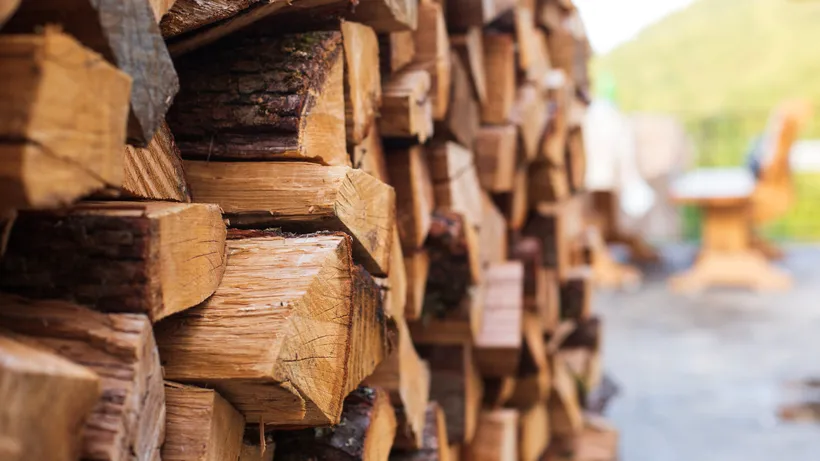 Ungaria anunță că va permite tăierea unui număr mai mare de arbori pentru lemne de foc, în contextul scumpirii gazelor