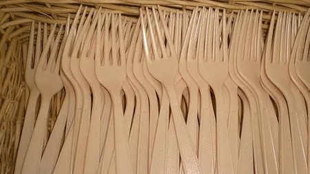 Adio farfurii și tacâmuri din plastic! Consiliul UE a adoptat interdicția privind materialele plastice de unică folosință. De când intră în vigoare