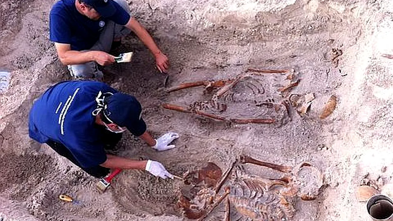 EXCLUSIV GÂNDUL LIVE. Ce se va întâmpla cu gropile comune de la Periprava. Interviu cu șeful IICCMER. PLUS. Cum a fost ridicat tatăl lui Cristian Tudor Popescu de Securitate