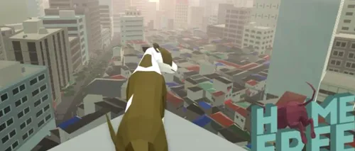 Jocul video care te pune în „blana unui maidanez caută finanțare pe Kickstarter