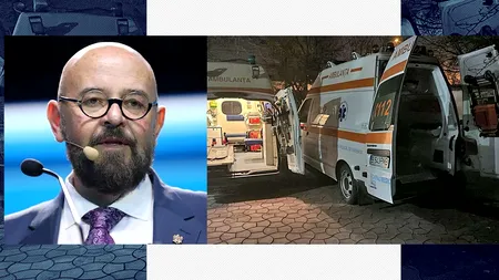 Azil redeschis ilegal de proprietar, în Voluntari/ Piedone: 