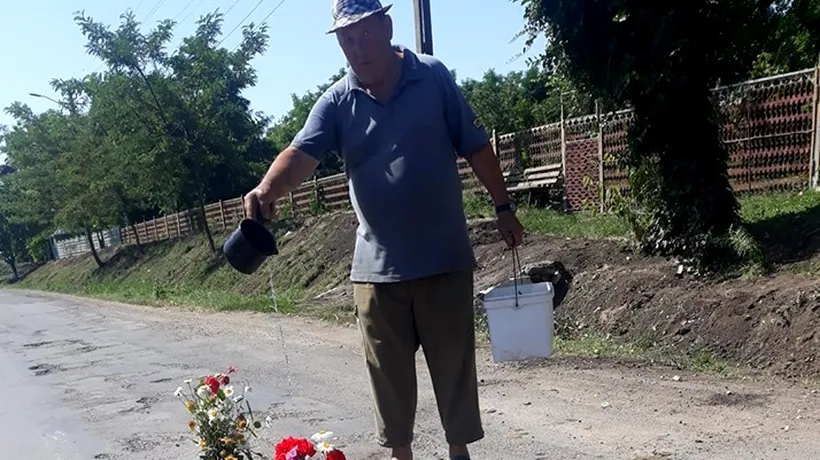 Un altfel de protest | Trandafiri plantați în gropile de pe un drum național din județul Vrancea