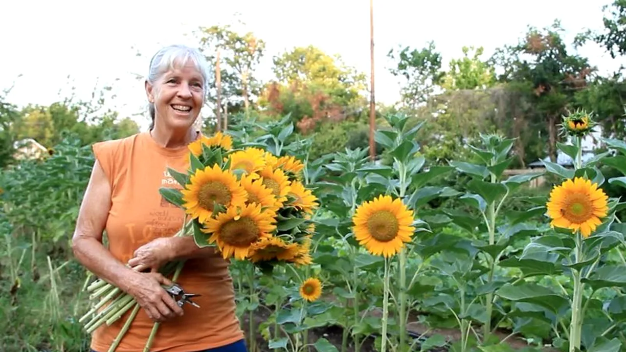 Festivalul Internanțional de Film PELICAM propune o nouă secțiune competițională: 