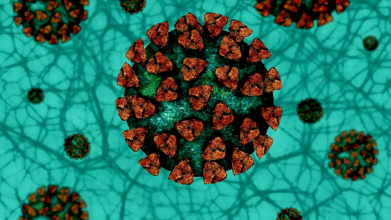 Virusul care provoacă tulpina SARS-CoV-2 acumulează mutații genetice. Aproape toate cazurile din SUA, din primul val al pandemiei, au fost cauzate de tulpina contagioasă