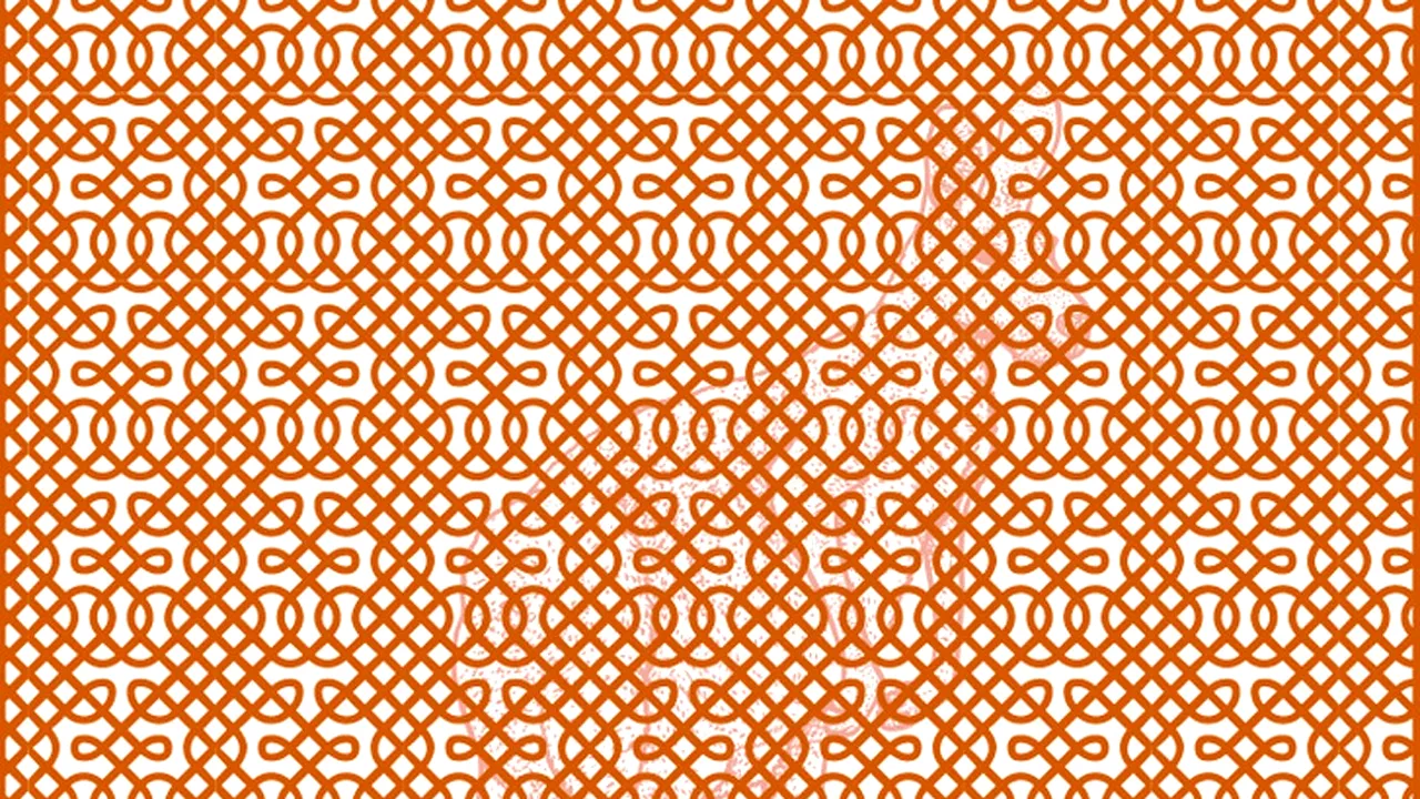 Iluzie optică | Ce animal vezi în această imagine? Dacă răspunzi în 10 secunde, ești un geniu