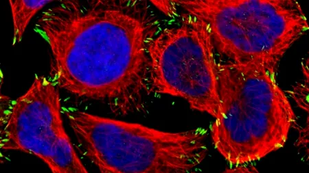 Nouă simptome ale cancerului pe care nu trebuie să le ignori