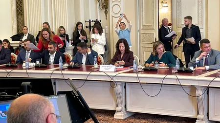 Roxana Mînzatu, după audierile din Parlament. 