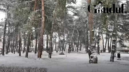 Ninsori abundente în mai multe zone din țară! Cod galben de ninsoare în zona montană și predominant în sudul a țării - VIDEO