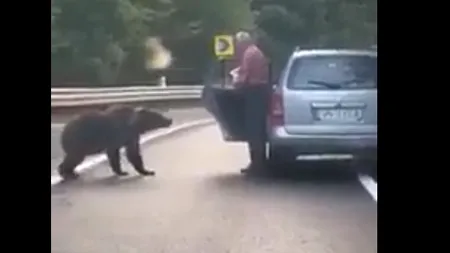 Bărbat din Vrancea, filmat când hrăneşte şi se apropie periculos de un urs flămând