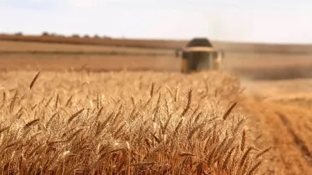 Guvernul majorează bugetul schemei de ajutor de stat „Creditul Fermierului”/Sprijinul pe care un FERMIER îl primeşte ajunge la 280.000 de euro