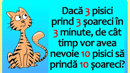 Test IQ cu 10 întrebări | Prima: Dacă 3 pisici prind 3 șoareci în 3 minute, de cât timp vor avea nevoie 10 pisici să prindă 10 șoareci?