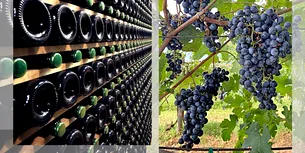 <span style='background-color: #dd9933; color: #fff; ' class='highlight text-uppercase'>ACTUALITATE</span> Pietro Pittaro, un viticultor italian, și-a lăsat podgoriile și cramele moștenire angajaților