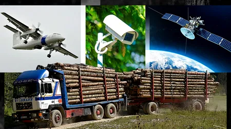 EXCLUSIV VIDEO | Cum pot fi salvate pădurile de la tăiere. Ministrul Mediului: ”Monitorizăm din satelit, aerian și cu camere de supraveghere”
