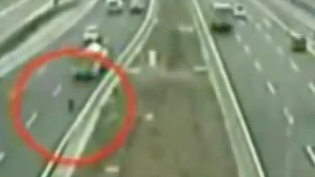 Probabil este unul dintre cele mai emoționante filmulețe din lume. Cum a reacționat un câine după ce prietenul său a fost lovit de mașină