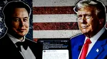 Consilierul comercial al lui Donald Trump: Elon Musk era doar „un angajat special, cu un termen de EXPIRARE a mandatului”