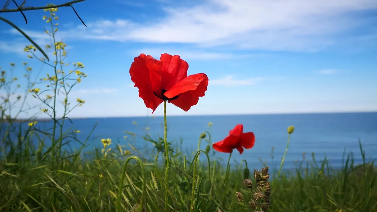 ANM, prognoză meteo pentru luna mai. Cum va fi vremea și când scăpăm de PLOI și frig