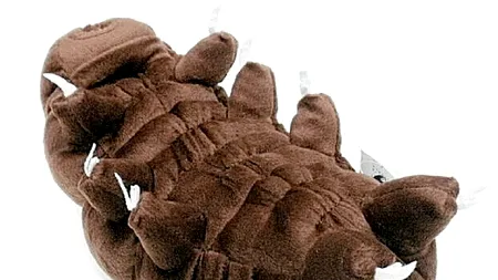 Creaturile indestructibile care trăiesc pe Terra. Vor muri doar atunci când Soarele va dispărea 