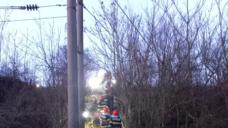 UPDATE: FOTO-VIDEO | Accident feroviar GRAV în Teleorman. 12 persoane au fost rănite, după ce trenul în care se aflau ar fi intrat „VIOLENT” într-un marfar încărcat cu mașini Ford