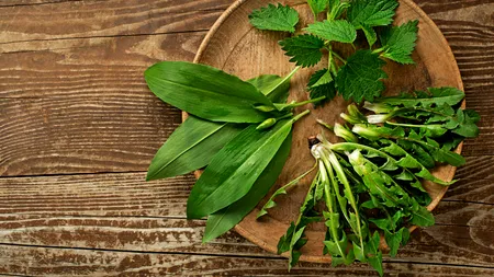 Planta bogată în fier pe care să o consumi primăvara. Favorizează eliminarea toxinelor din organism și este o sursă de substanțe nutritive