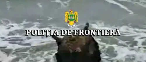 VIDEO | Mină marină, descoperită de polițiștii de frontieră pe plajă, în zona Sfântul Gheorghe. Militarii din Forțele Navale intervin pentru neutralizarea ei