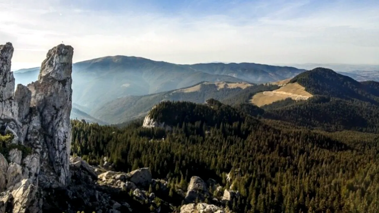 Impactul politicilor și partidelor verzi în DEMOCRAȚII