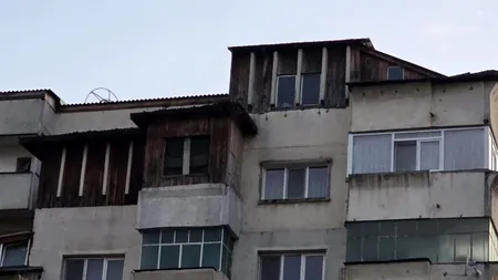 „Cotețele” de pe blocurile din Iași, pericol public. Cum poate fi rezolvată situația șarpantelor