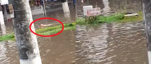 INUNDAȚII. Slobozia, o imensă piscină. Un bărbat a fost filmat în timp ce înota pe stradă | VIDEO