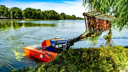 (P) Voluntarii s-au implicat în igienizarea simbolului județului Ilfov- Lacul Mogoșoaia