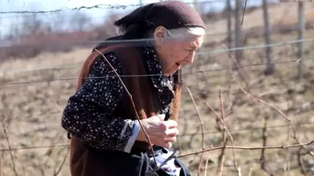 La 99 de ani, continuă să MUNCEASCĂ în fiecare zi în grădină. „Nu pot să stau, trebuie să fac ceva”