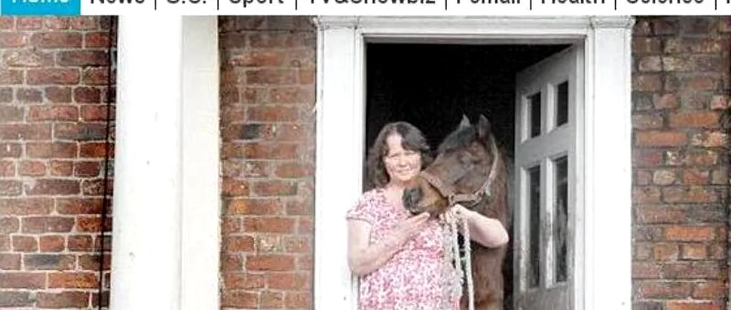Scandalul cărnii de cal. Cum s-a întors o britanică de la supermarket cu un ponei