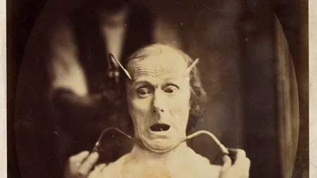 Cel mai înfricoșător experiment al lui Darwin, reluat de Universitatea Cambridge 