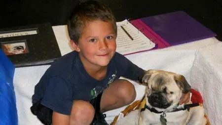 GALERIE FOTO. Povestea lui Xander, cățelul orb care salvează vieți