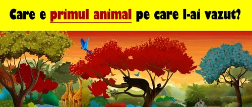 Test de personalitate | Primul animal pe care îl vezi îți va spune care e cea mai mare problemă a ta