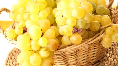 „Mă doare doar să privesc”. Motivul incredibil pentru care un fermier din CALIFORNIA a fost nevoit să arunce toată recolta, 25 de tone de struguri