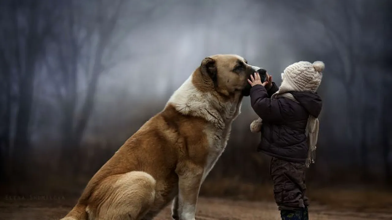 Această femeie a devenit celebră cu fotografiile copiilor ei. Cum poți fi ca ea?