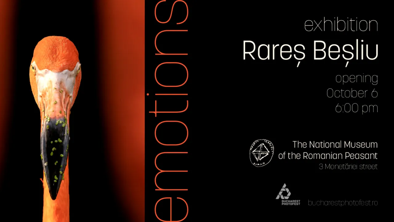 „Emoții”, prima expoziție de fotografie despre emoțiile vieții sălbatice, între 1 și 9 octombrie, la MȚR