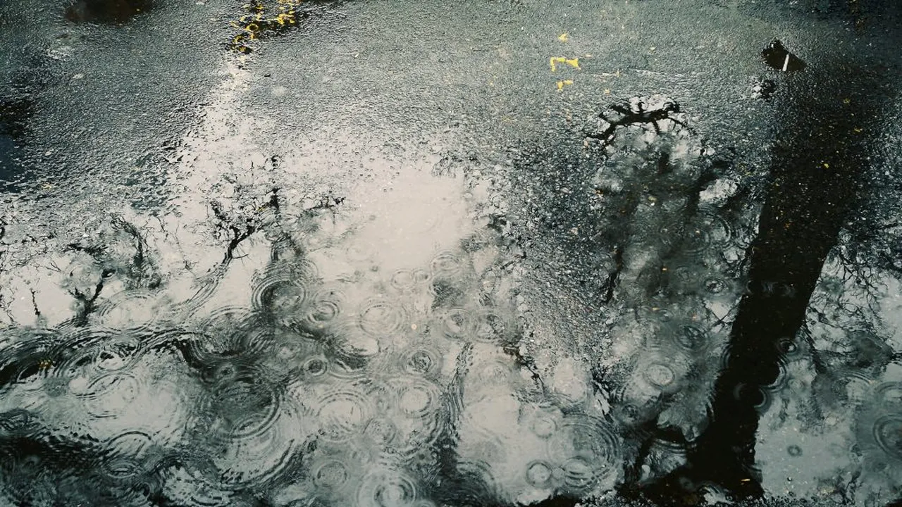 VIDEO | PLOAIE NEAGRĂ asupra Japoniei. Care au fost explicațiile găsite de martori