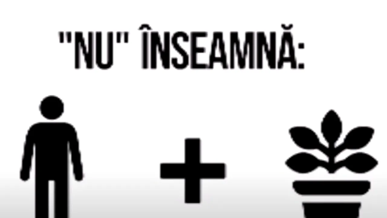 Fanteziile erotice ale PSD