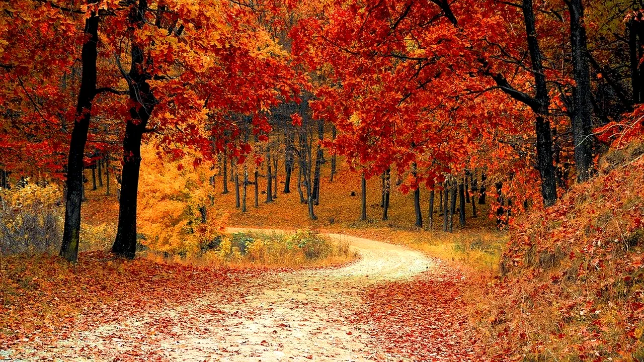 Prognoza meteo, 7 noiembrie 2020. Vreme caldă, apropiată de normal din punct de vedere termic