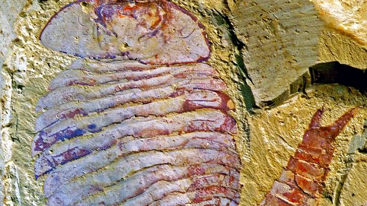 Veriga lipsă. Descoperirea care ar putea MODIFICA TEORIA EVOLUȚIEI