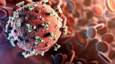 S-a descoperit legătura dintre iarba de mare, heparină și noul coronavirus. SARS-CoV-2 ar putea fi păcălit să se lipească de celule-momeală