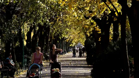 Primăria Capitalei vrea să repare un pod din Cișmigiu cu o investiție de 3,3 milioane de lei
