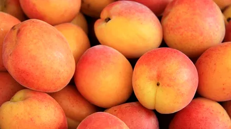 Dulceață de caise. Trei rețete simple pentru un desert excelent