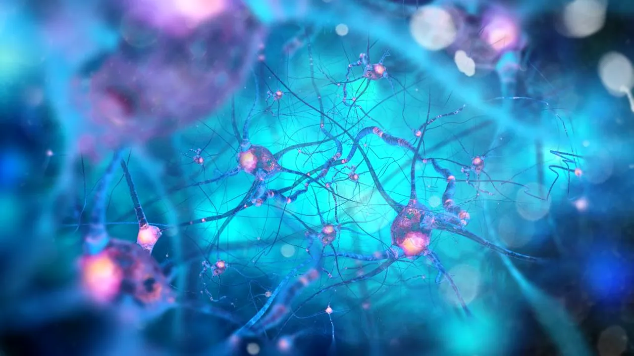 Un neurochirurg explică ce efecte are neurotoxina Noviciok: Tot organismul se prăbușește!