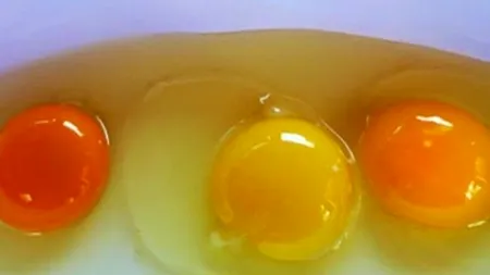 Știi să recunoști alimentele cele mai sănătoase? Detaliul care face diferența