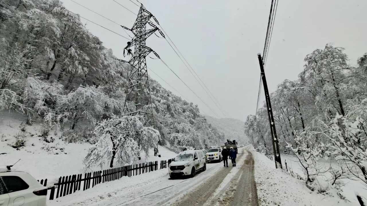 Distribuţie Energie Electrică anunţă când va reporni alimentarea cu energie electrică în judeţele afectate de vânt şi zăpadă