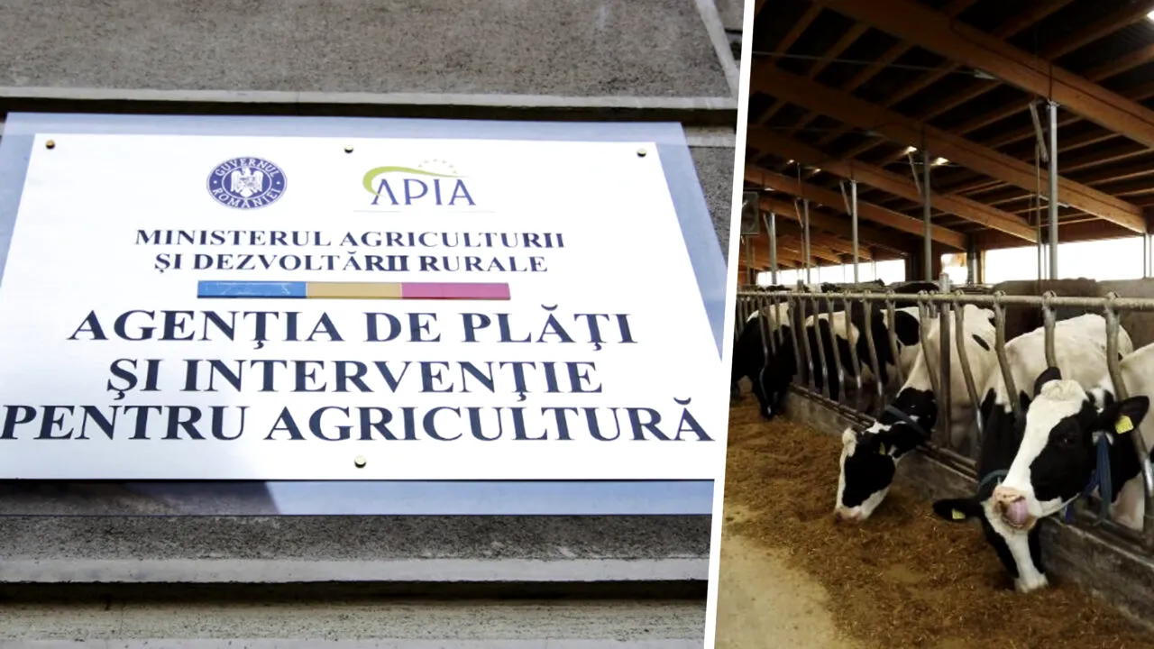 Controalele APIA, aproape de final: peste 88% dintre fermieri, deja verificați